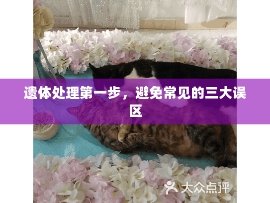 遗体处理第一步，避免常见的三大误区