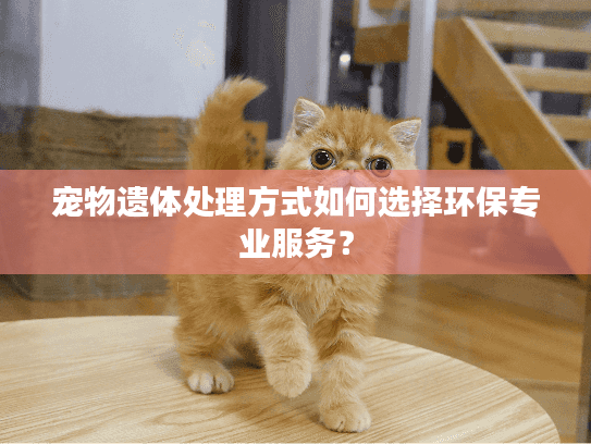 宠物遗体处理方式如何选择环保专业服务？