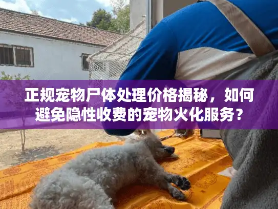 正规宠物尸体处理价格揭秘，如何避免隐性收费的宠物火化服务？