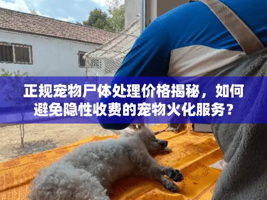 正规宠物尸体处理价格揭秘，如何避免隐性收费的宠物火化服务？