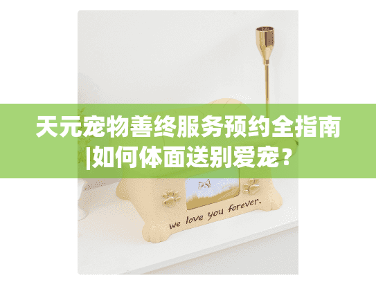 天元宠物善终服务预约全指南|如何体面送别爱宠? 天元宠物善终服务预约全指南|如何体面送别爱宠?