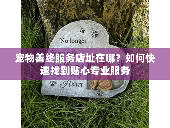 宠物善终服务店址在哪？如何快速找到贴心专业服务