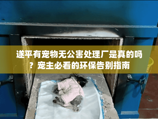 遂平有宠物无公害处理厂是真的吗？宠主必看的环保告别指南