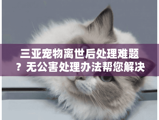 三亚宠物离世后处理难题？无公害处理办法帮您解决