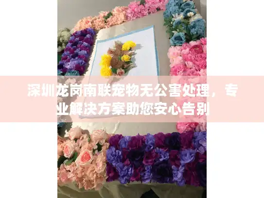 深圳龙岗南联宠物无公害处理，专业解决方案助您安心告别