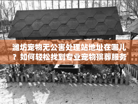 潍坊宠物无公害处理站地址在哪儿？如何轻松找到专业宠物殡葬服务