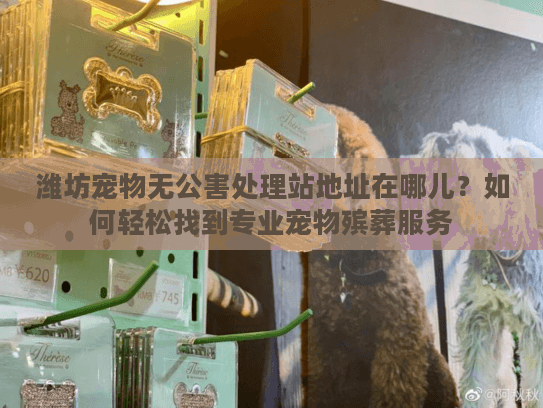 潍坊宠物无公害处理站地址在哪儿？如何轻松找到专业宠物殡葬服务