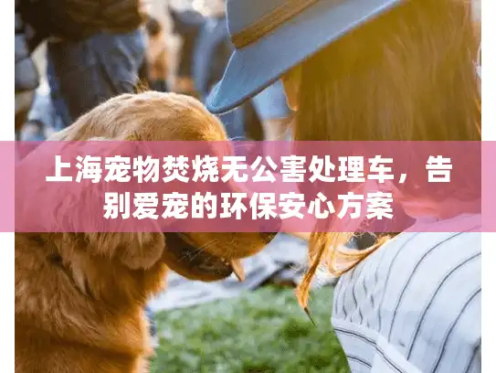 上海宠物焚烧无公害处理车,告别爱宠的环保安心方案 上海宠物焚烧无公害处理车,告别爱宠的环保安心方案