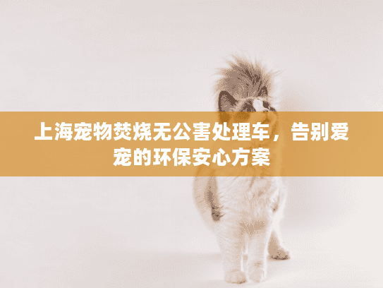 上海宠物焚烧无公害处理车,告别爱宠的环保安心方案 上海宠物焚烧无公害处理车,告别爱宠的环保安心方案
