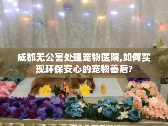 成都无公害处理宠物医院,如何实现环保安心的宠物善后?