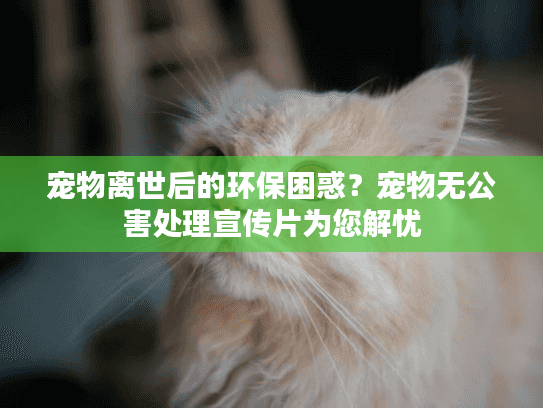 宠物离世后的环保困惑?宠物无公害处理宣传片为您解忧 宠物离世后的环保困惑?宠物无公害处理宣传片为您解忧