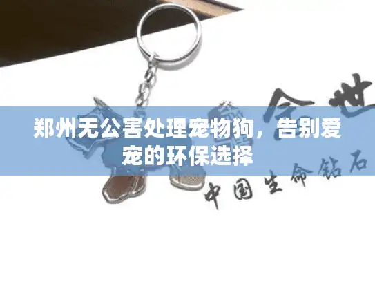 郑州无公害处理宠物狗,告别爱宠的环保选择 郑州无公害处理宠物狗,告别爱宠的环保选择