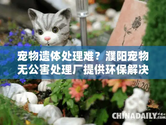 宠物遗体处理难?濮阳宠物无公害处理厂提供环保解决方案 宠物遗体处理难?濮阳宠物无公害处理厂提供环保解决方案