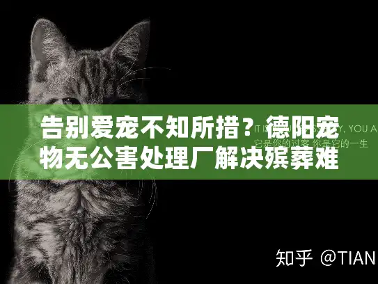 告别爱宠不知所措?德阳宠物无公害处理厂解决殡葬难题 告别爱宠不知所措?德阳宠物无公害处理厂解决殡葬难题
