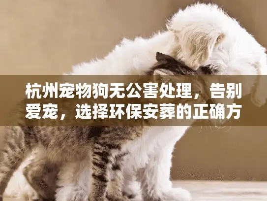 杭州宠物狗无公害处理，告别爱宠，选择环保安葬的正确方式