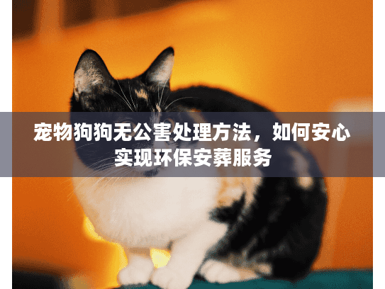 宠物狗狗无公害处理方法，如何安心实现环保安葬服务