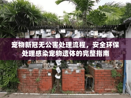 宠物新冠无公害处理流程，安全环保处理感染宠物遗体的完整指南