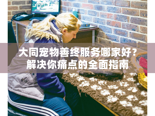 大同宠物善终服务哪家好？解决你痛点的全面指南