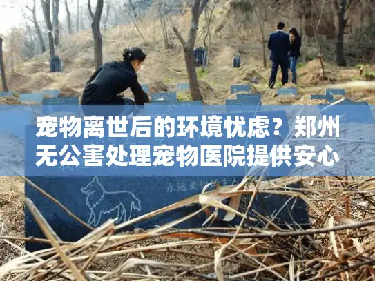 宠物离世后的环境忧虑？郑州无公害处理宠物医院提供安心解决方案
