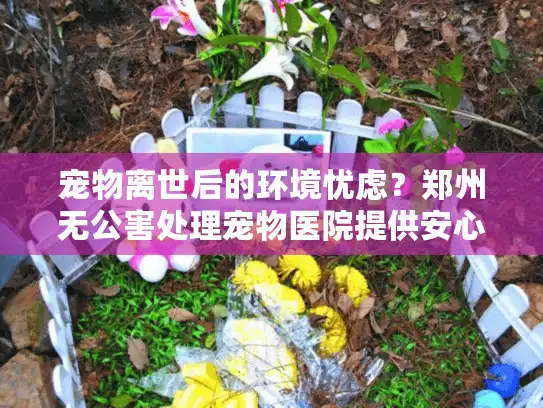 宠物离世后的环境忧虑？郑州无公害处理宠物医院提供安心解决方案