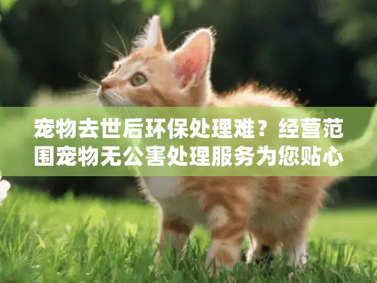 宠物去世后环保处理难？经营范围宠物无公害处理服务为您贴心解决！