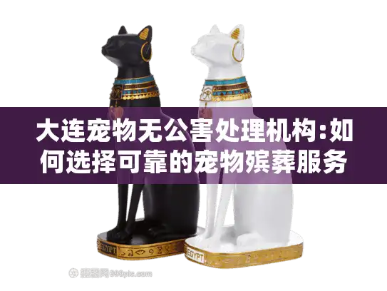 大连宠物无公害处理机构:如何选择可靠的宠物殡葬服务流程?