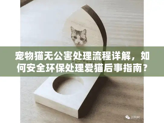 宠物猫无公害处理流程详解，如何安全环保处理爱猫后事指南？