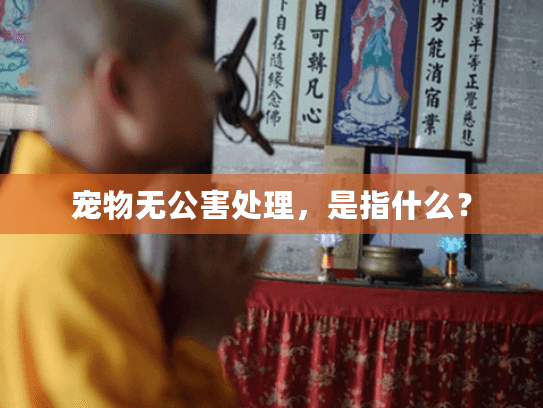 宠物无公害处理，是指什么？