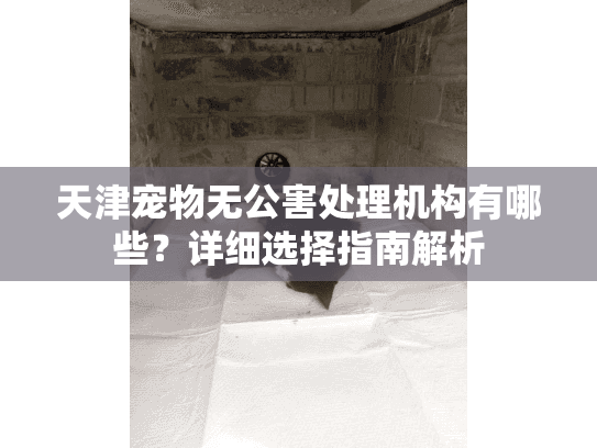 天津宠物无公害处理机构有哪些？详细选择指南解析