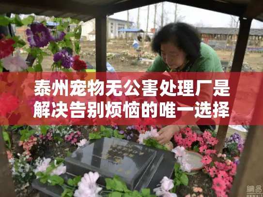 泰州宠物无公害处理厂是解决告别烦恼的唯一选择吗？