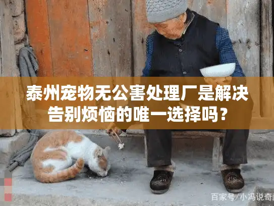 泰州宠物无公害处理厂是解决告别烦恼的唯一选择吗？