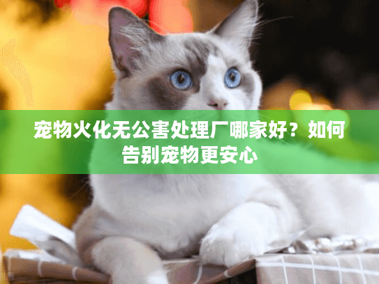 宠物火化无公害处理厂哪家好？如何告别宠物更安心