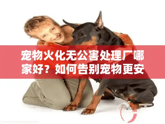 宠物火化无公害处理厂哪家好？如何告别宠物更安心