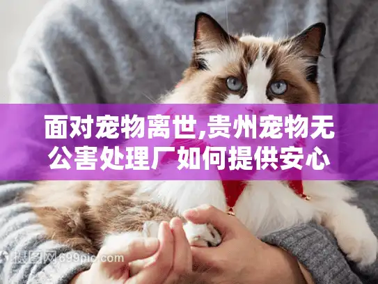 面对宠物离世,贵州宠物无公害处理厂如何提供安心环保安葬服务? 面对宠物离世,贵州宠物无公害处理厂如何提供安心环保安葬服务?