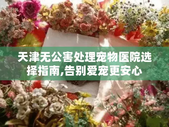 天津无公害处理宠物医院选择指南,告别爱宠更安心