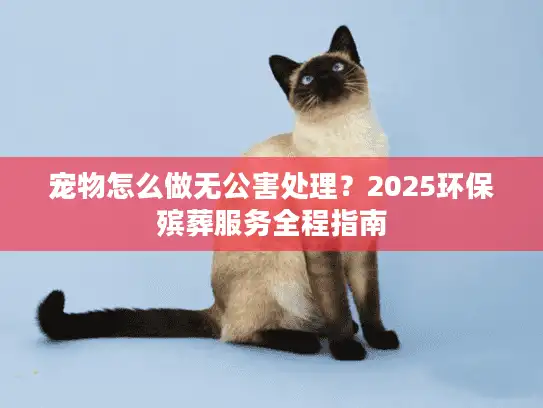 宠物怎么做无公害处理？2025环保殡葬服务全程指南
