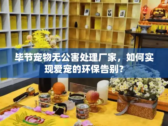 毕节宠物无公害处理厂家，如何实现爱宠的环保告别？