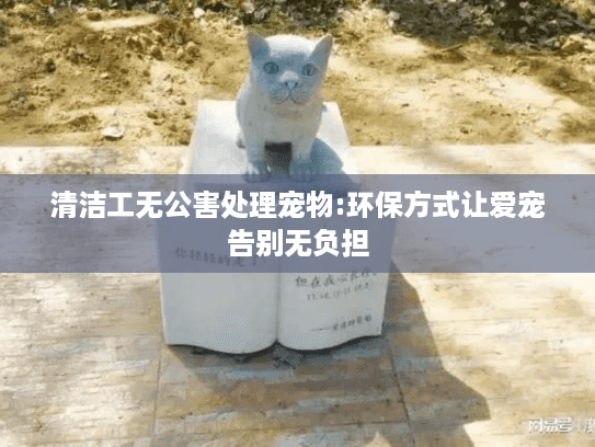 清洁工无公害处理宠物:环保方式让爱宠告别无负担