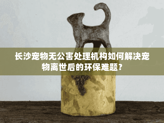 长沙宠物无公害处理机构如何解决宠物离世后的环保难题？