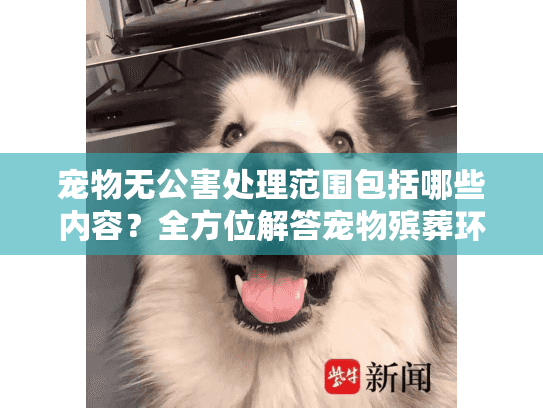 宠物无公害处理范围包括哪些内容？全方位解答宠物殡葬环保服务