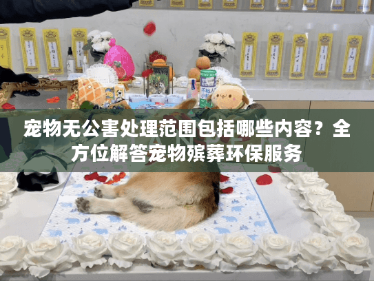 宠物无公害处理范围包括哪些内容？全方位解答宠物殡葬环保服务