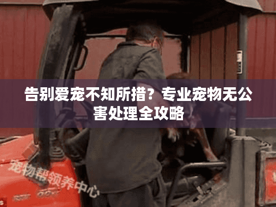 告别爱宠不知所措?专业宠物无公害处理全攻略 告别爱宠不知所措?专业宠物无公害处理全攻略