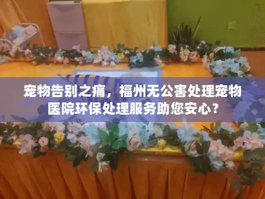 宠物告别之痛，福州无公害处理宠物医院环保处理服务助您安心？