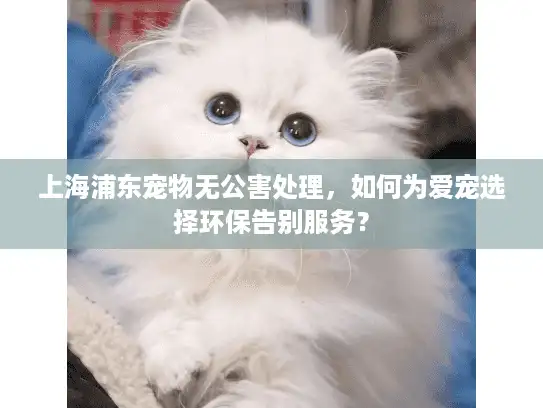 上海浦东宠物无公害处理，如何为爱宠选择环保告别服务？