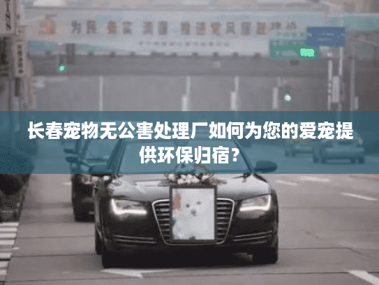长春宠物无公害处理厂如何为您的爱宠提供环保归宿？