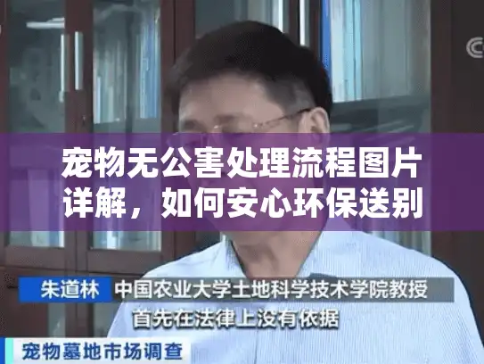 宠物无公害处理流程图片详解，如何安心环保送别爱宠后事？