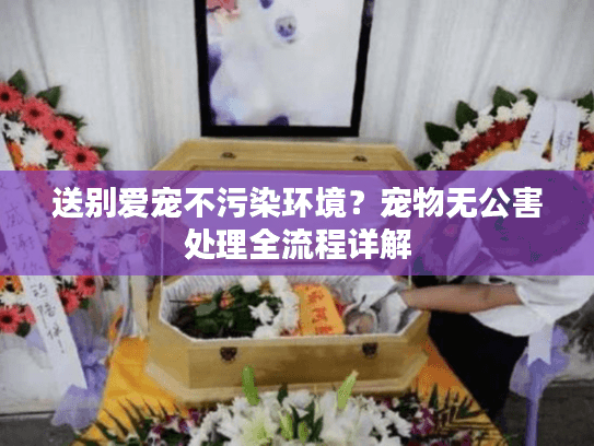 送别爱宠不污染环境?宠物无公害处理全流程详解 送别爱宠不污染环境?宠物无公害处理全流程详解
