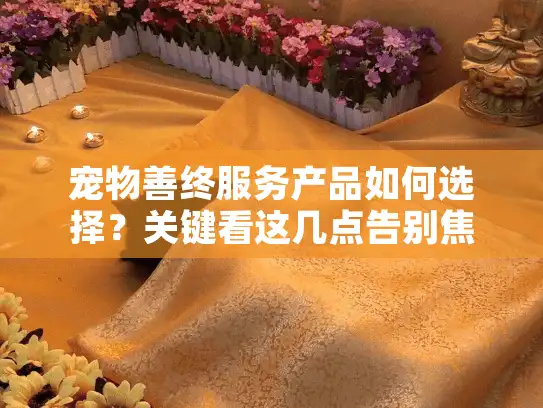 宠物善终服务产品如何选择？关键看这几点告别焦虑！