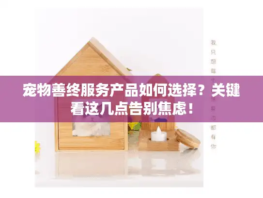 宠物善终服务产品如何选择？关键看这几点告别焦虑！