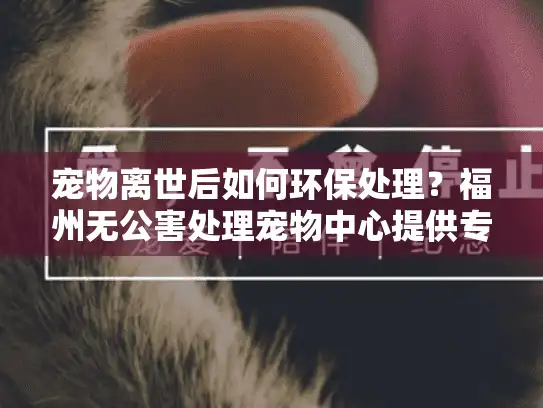 宠物离世后如何环保处理？福州无公害处理宠物中心提供专业方案